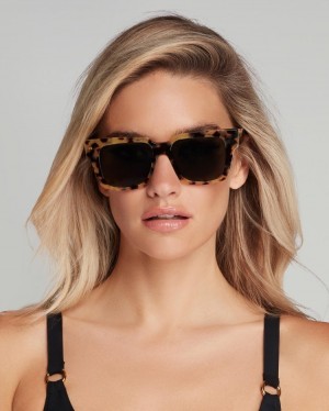 Lentes de Sol Agent Provocateur Debie Sunglasses Mujer Tortoise/Black Mexico | S0Q-3534